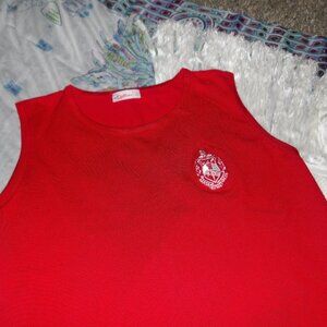 DELTA SIGMA THETA FRINGE DRESS